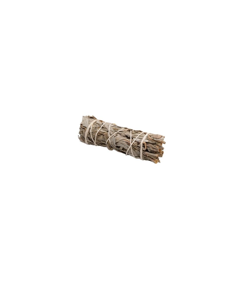 Fagot de Sauge Blanche – Purification & Énergie Positive